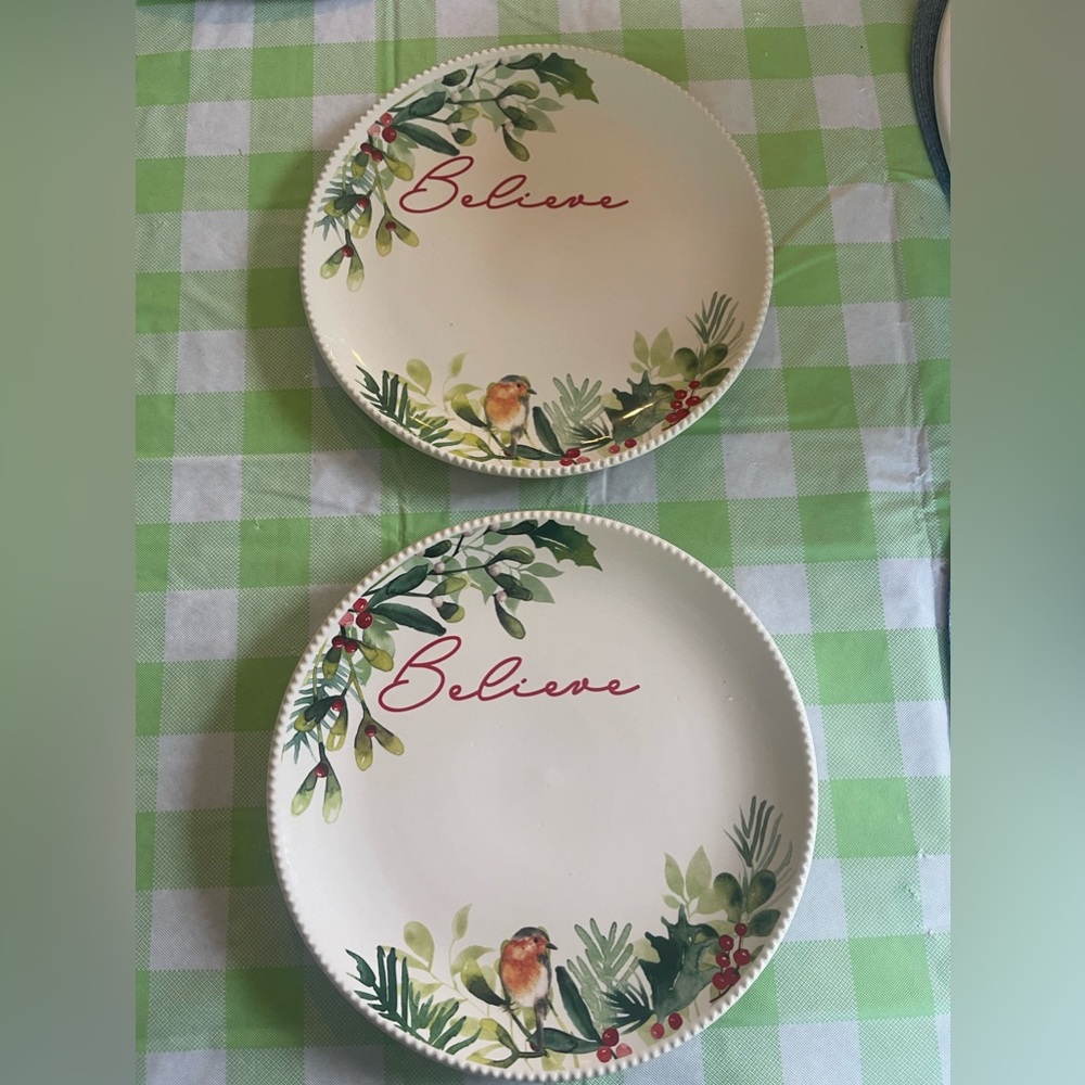 Lot Of 2 Better Homes & Gardens Winter Botanical Believe Salad Plates